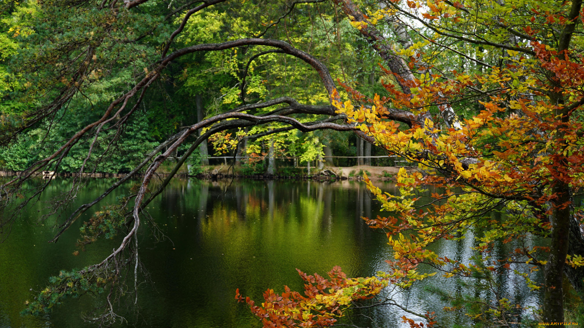 природа, реки, озера, простор