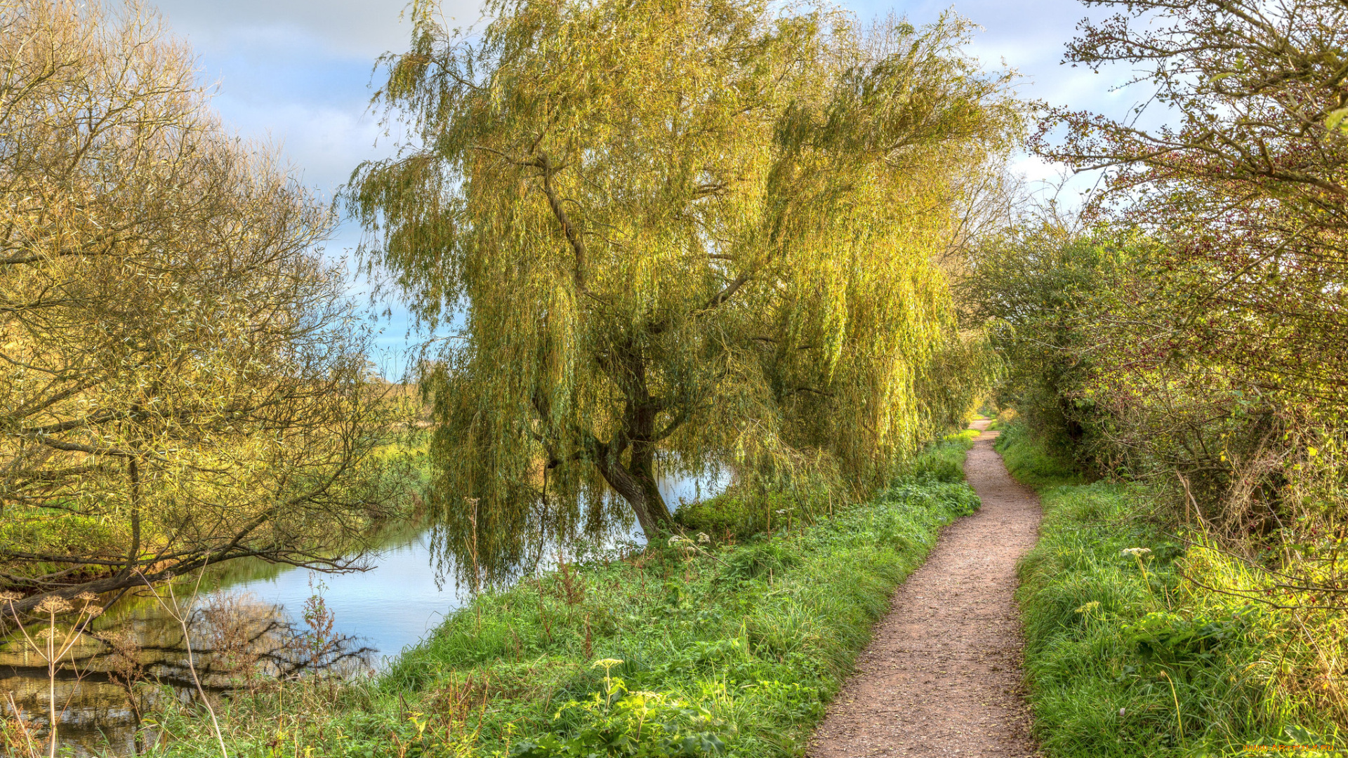 природа, реки, озера, простор