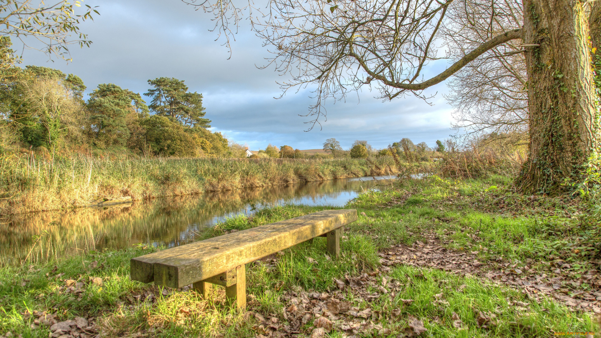 природа, реки, озера, простор