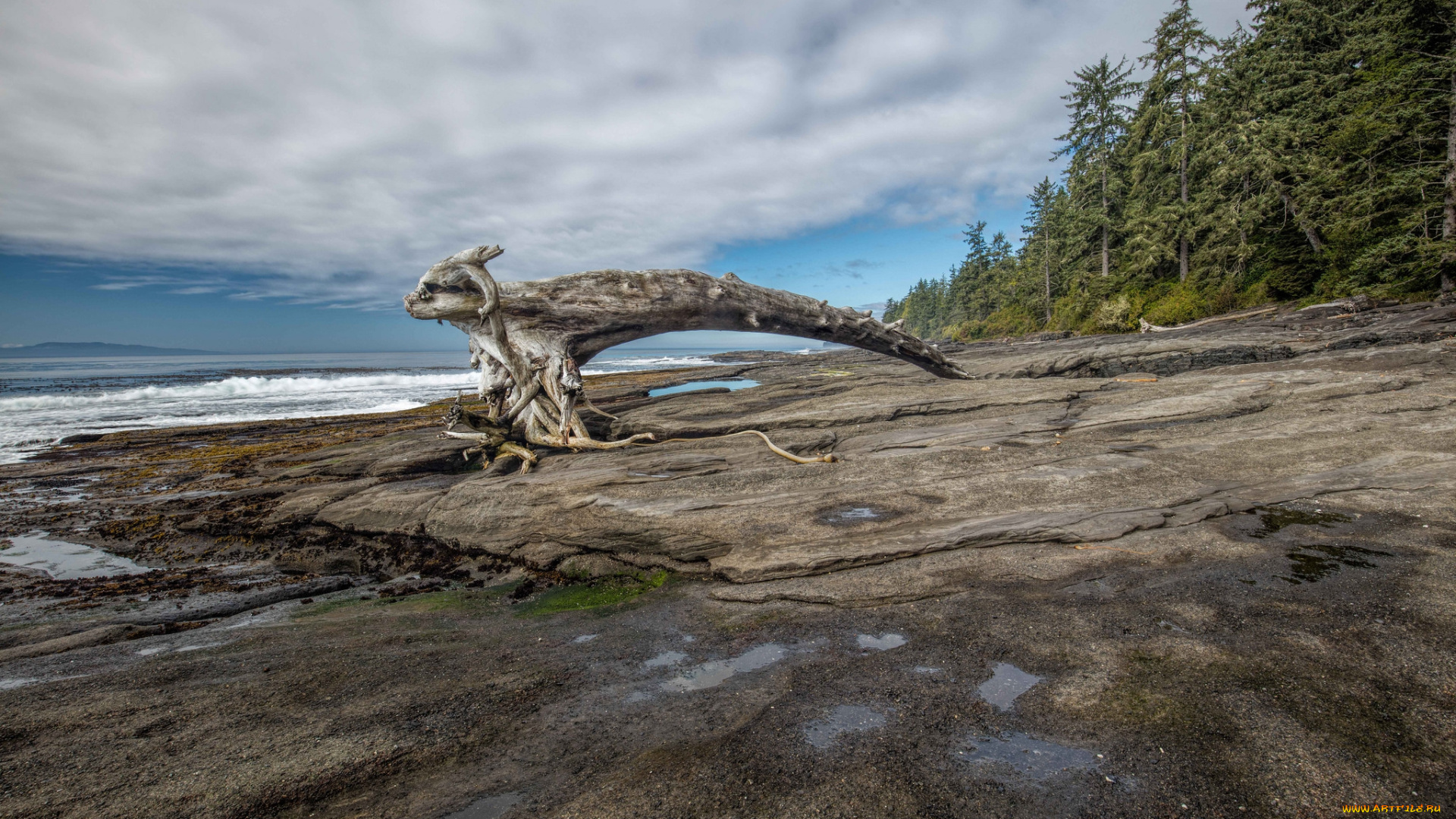 природа, реки, озера, простор