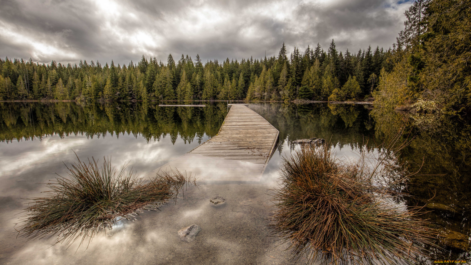 природа, реки, озера, простор