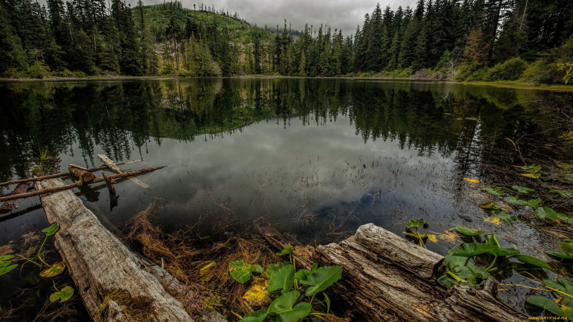 природа, реки, озера, простор