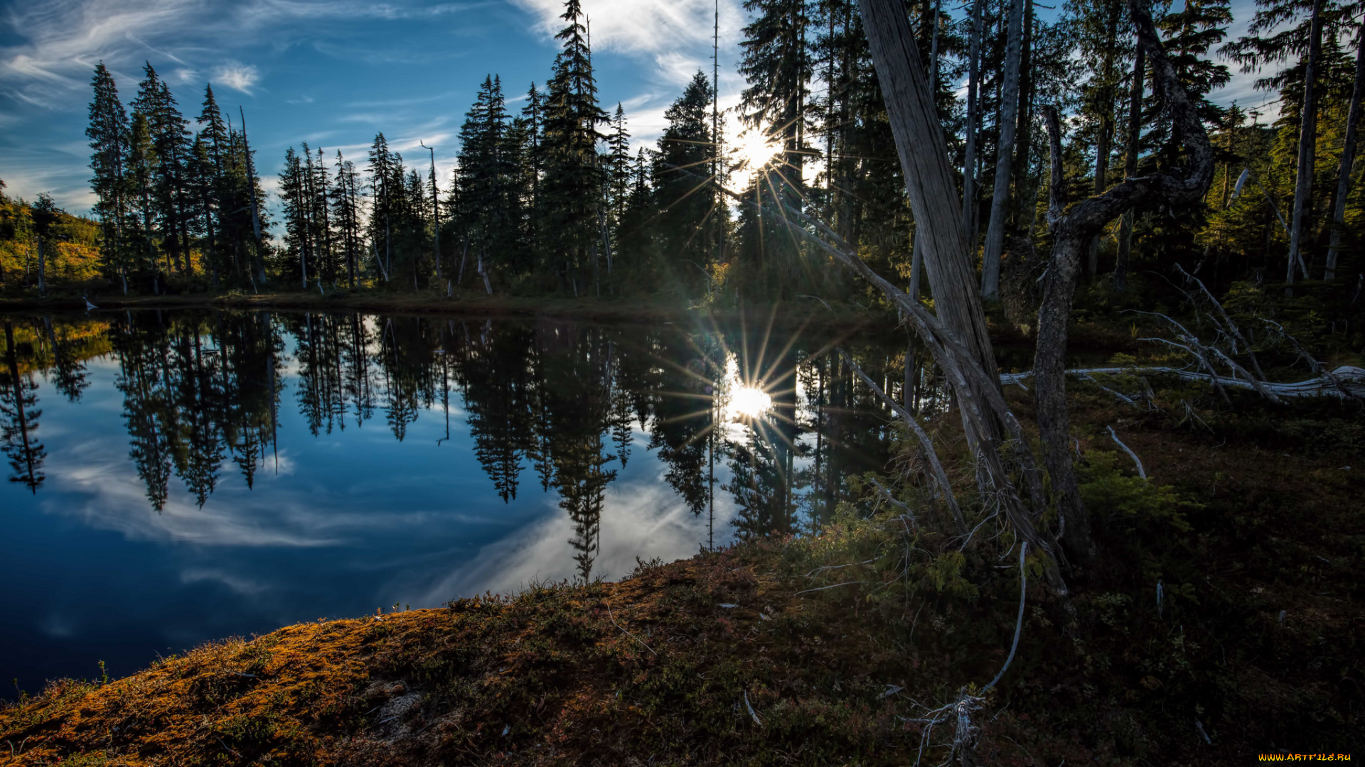 природа, реки, озера, простор