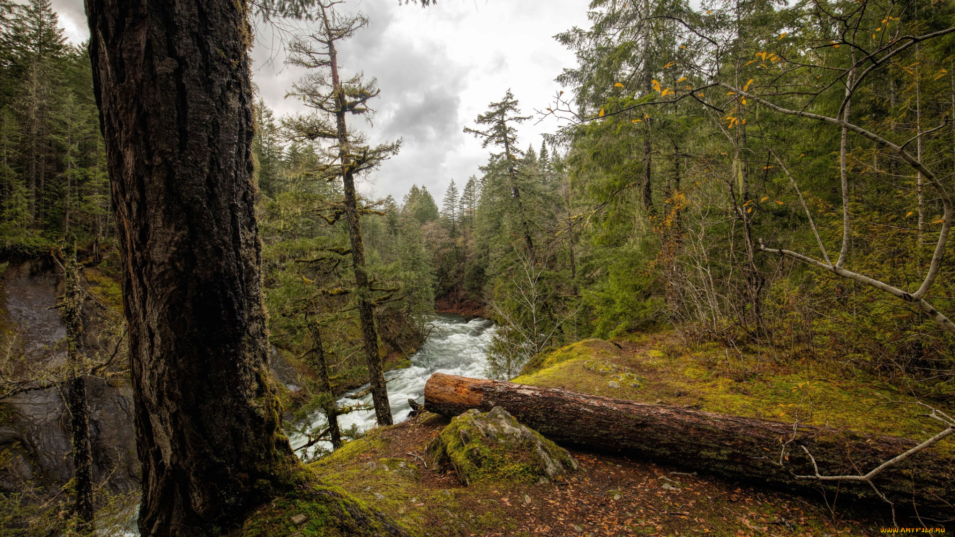 природа, реки, озера, простор