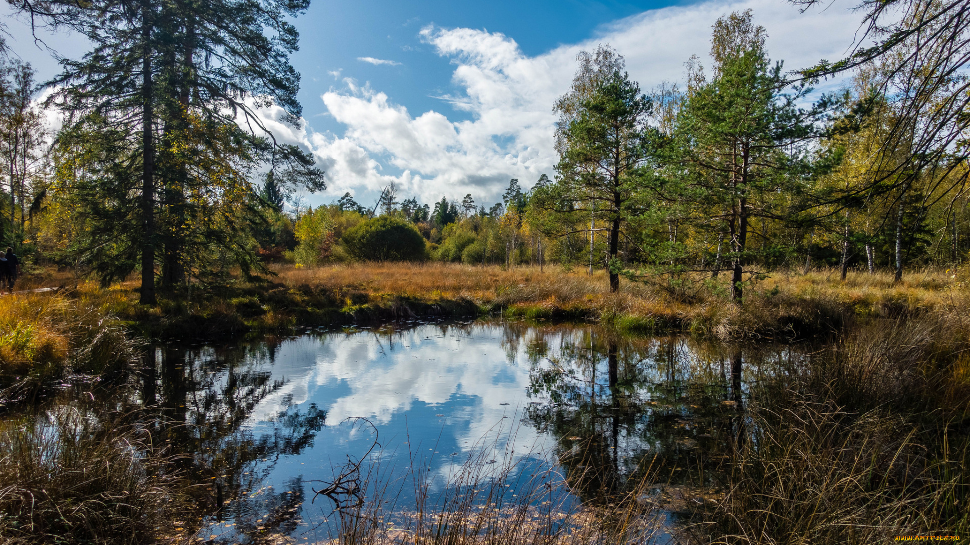 природа, реки, озера, простор