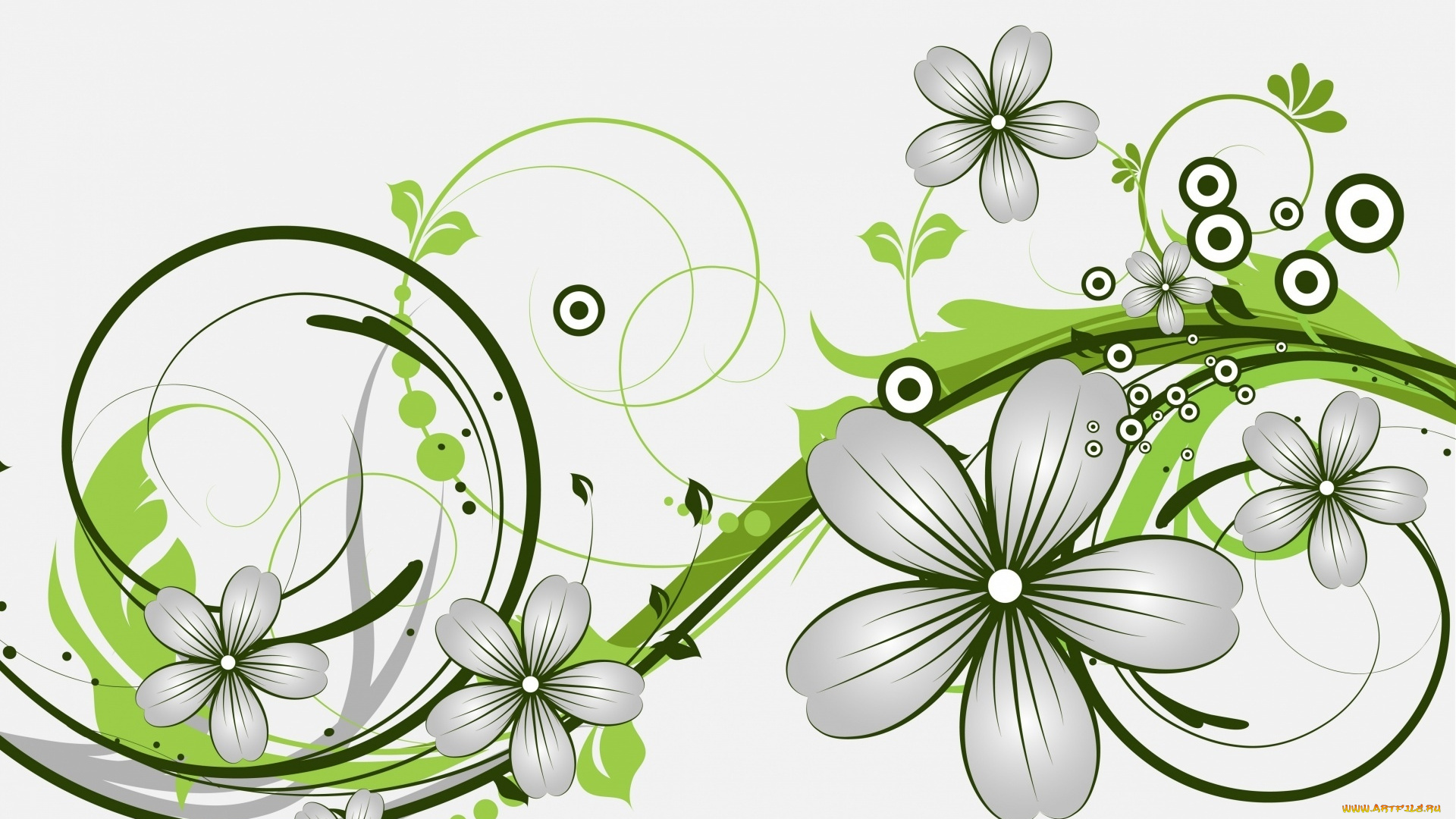 векторная, графика, цветы, , flowers, узор, фон, цвета, цветы