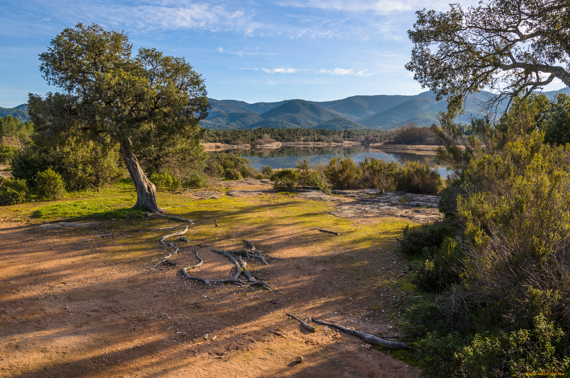 природа, пейзажи, простор