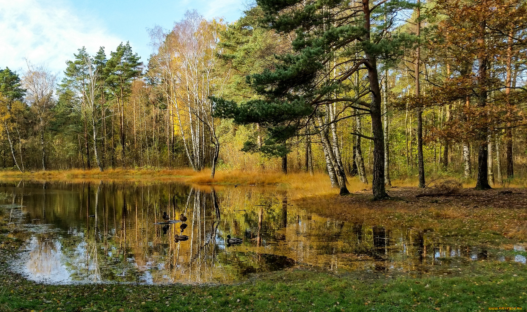 природа, реки, озера, простор