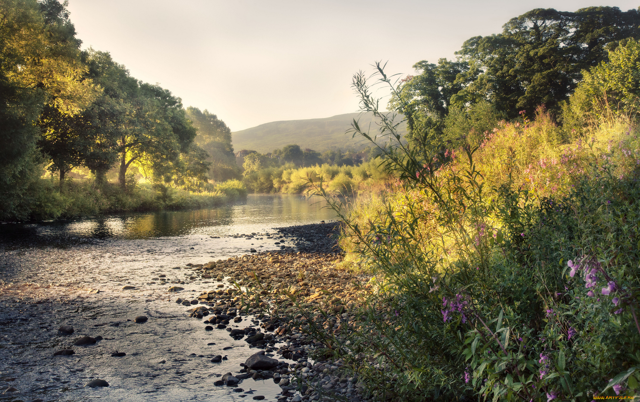 природа, реки, озера, простор