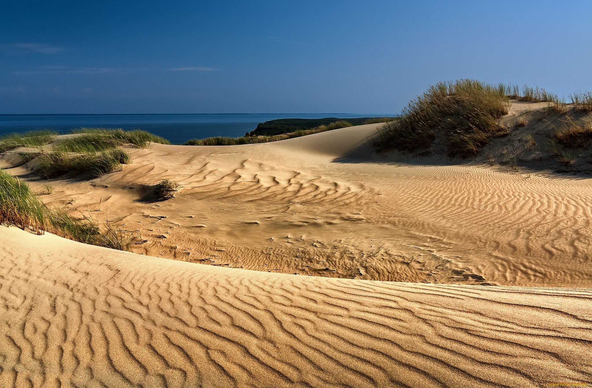 природа, побережье, простор