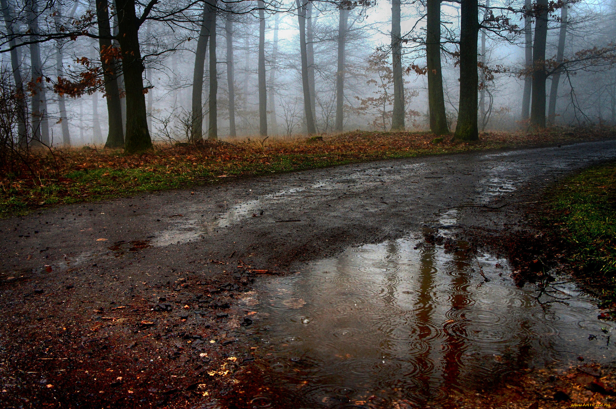 природа, дороги, простор