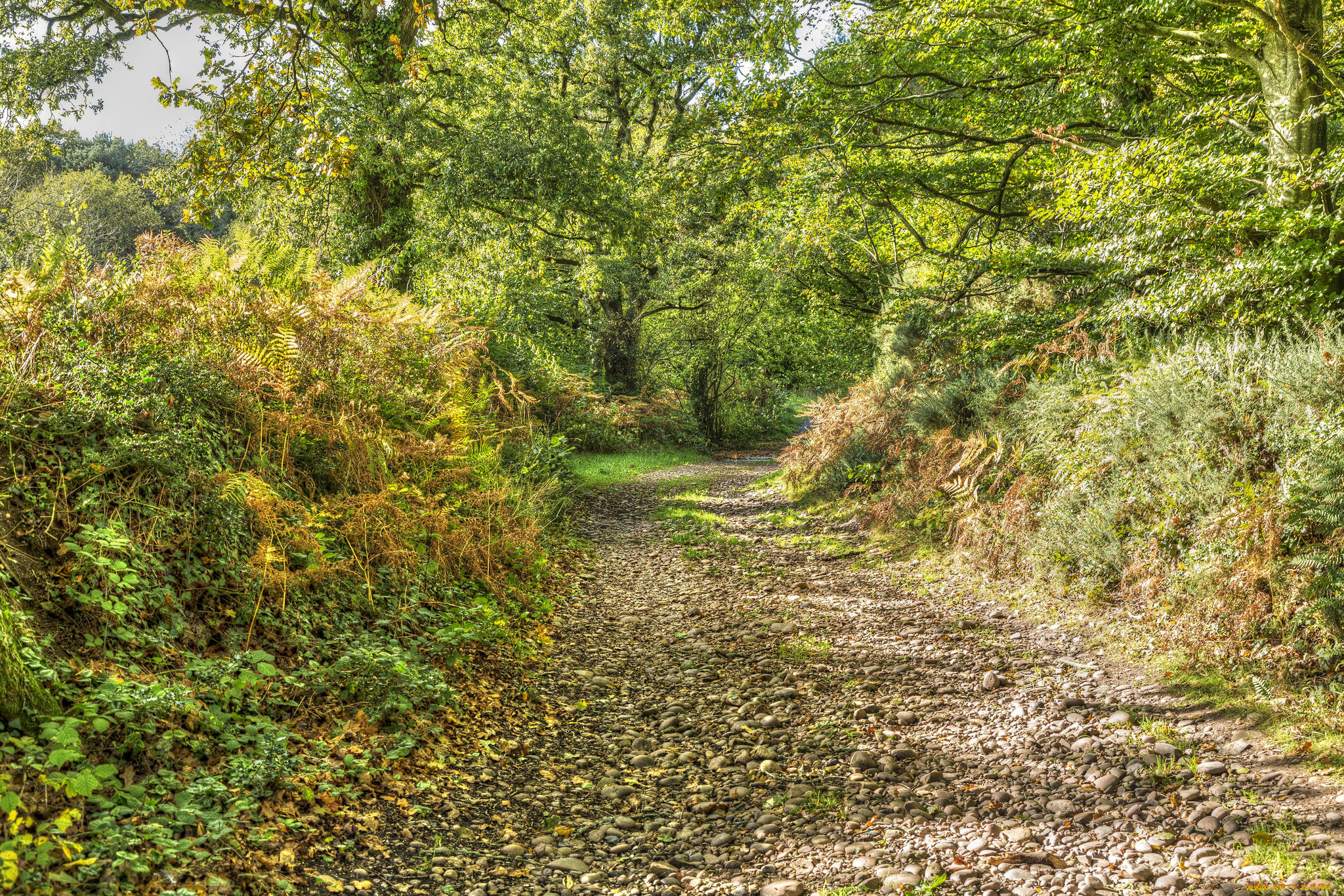 природа, дороги, простор