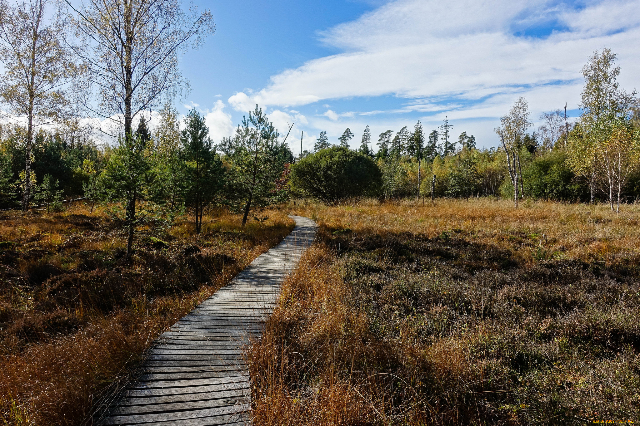 природа, дороги, простор