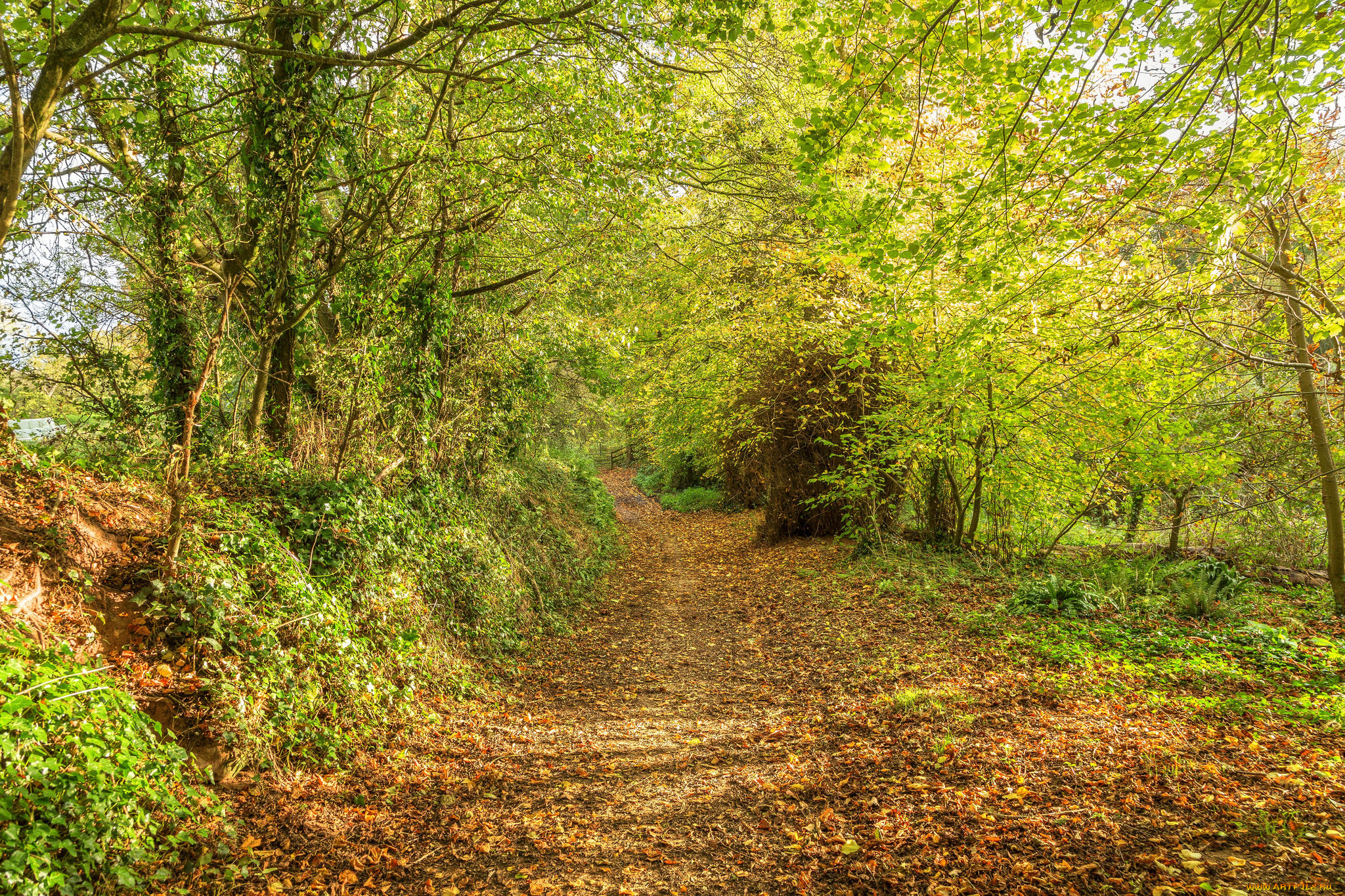 природа, дороги, простор