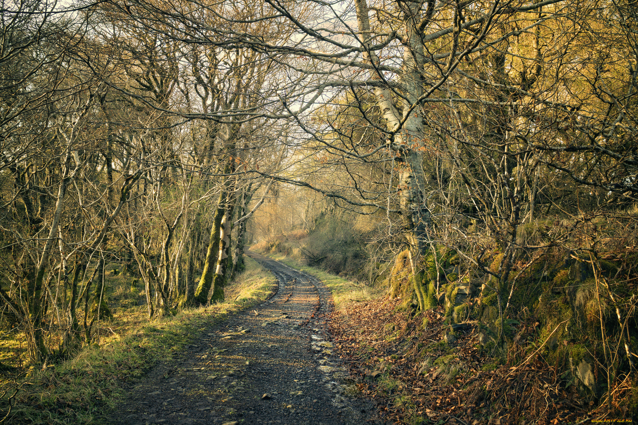 природа, дороги, простор