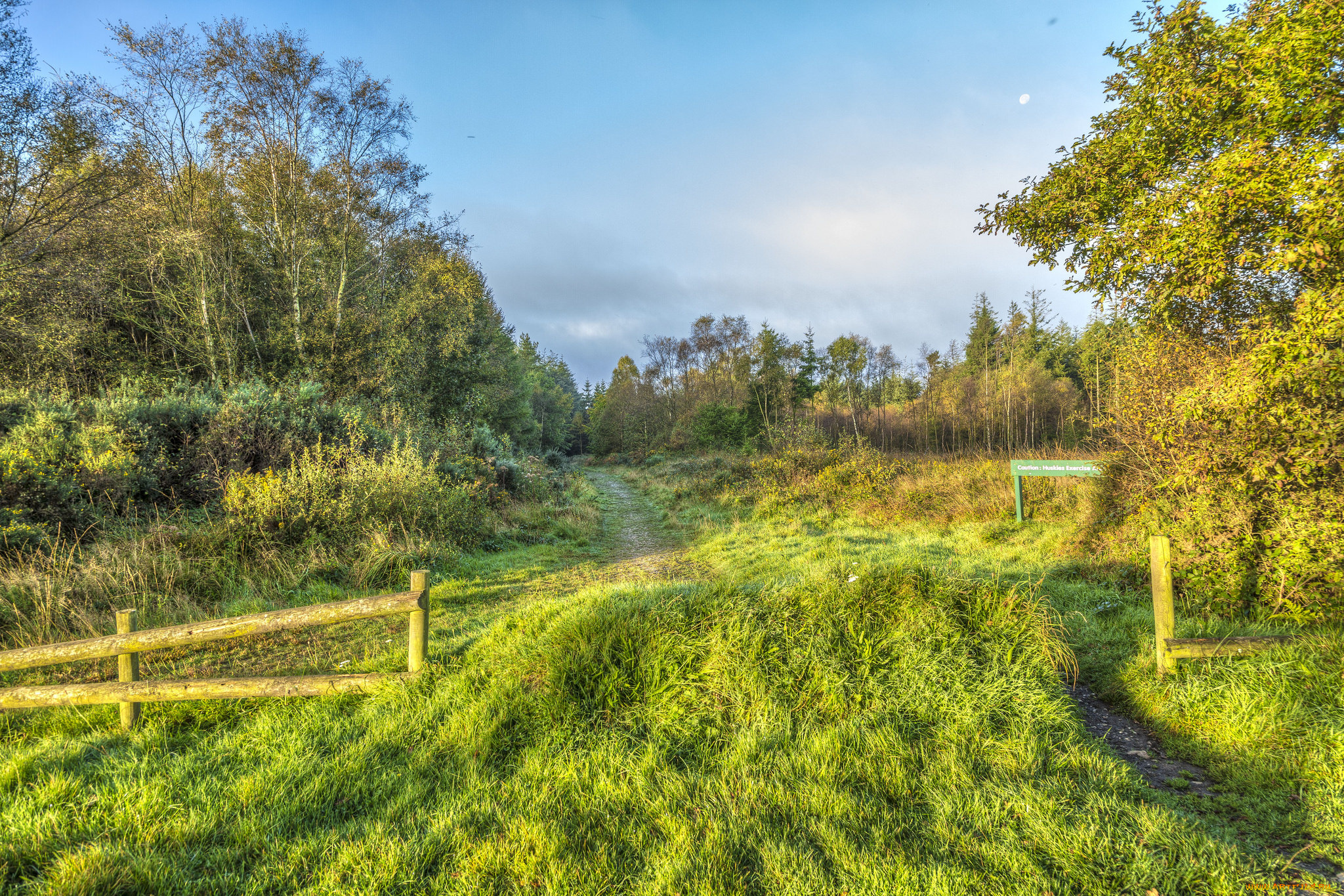 природа, пейзажи, простор