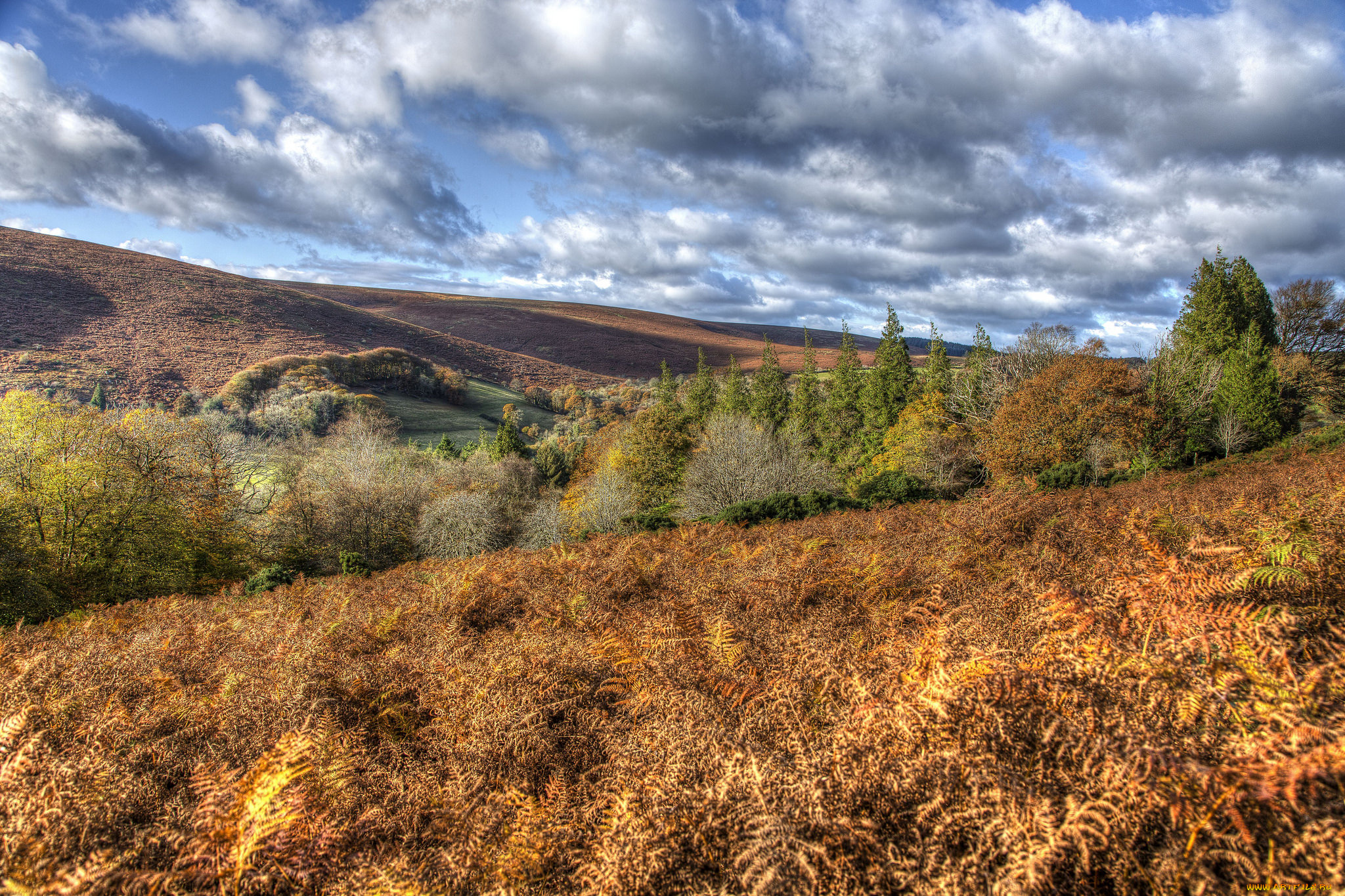 природа, пейзажи, простор
