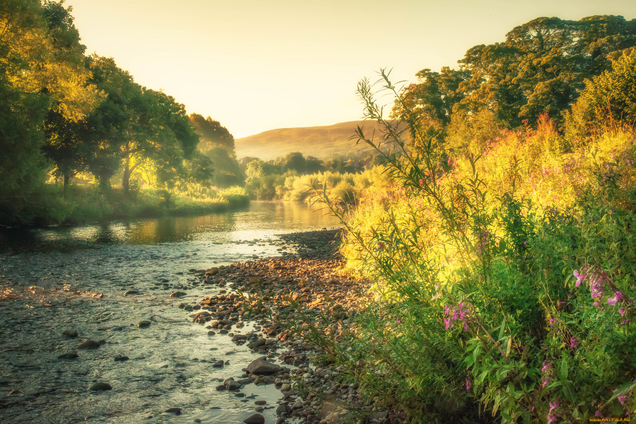 природа, реки, озера, простор