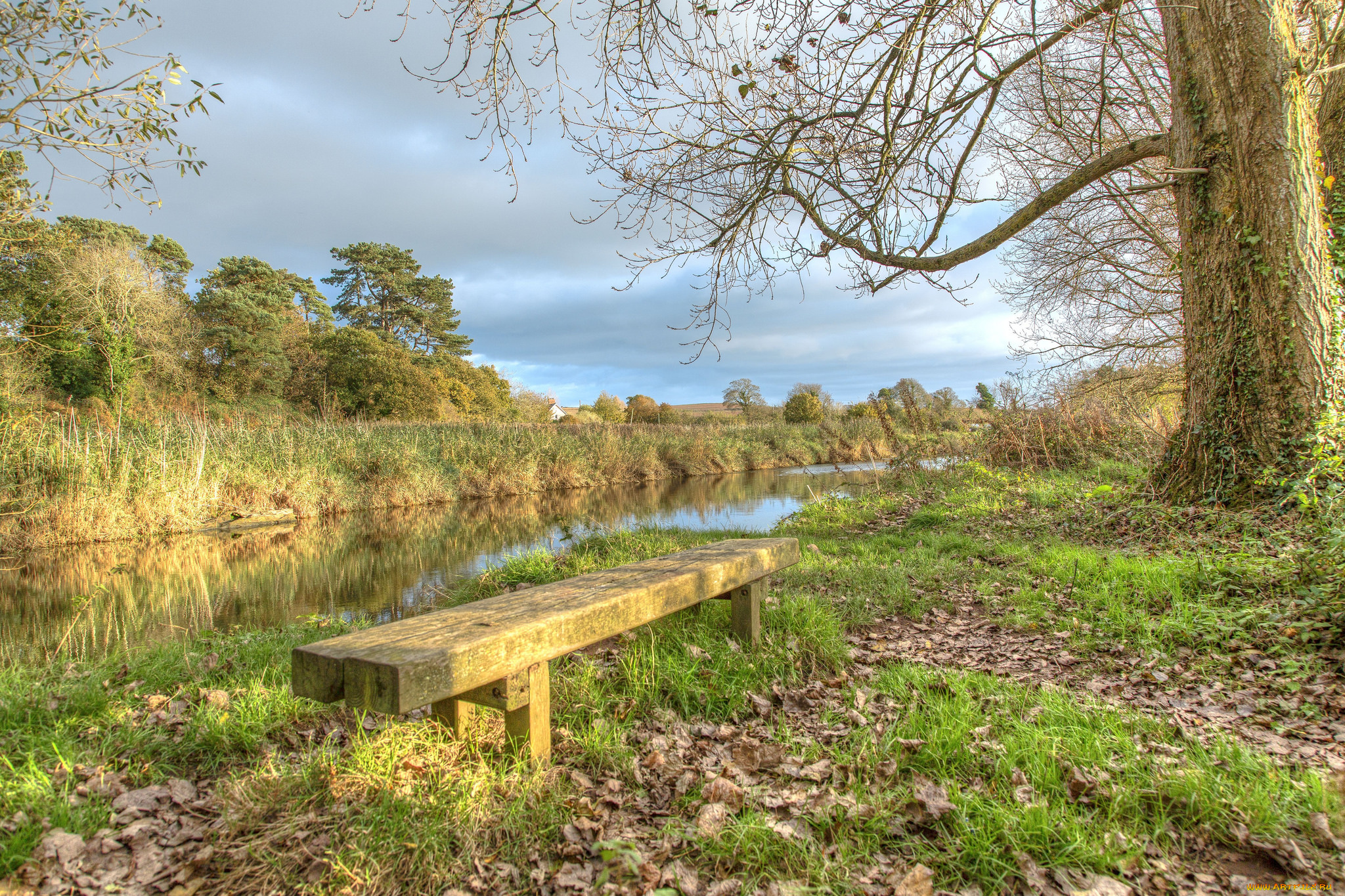 природа, реки, озера, простор