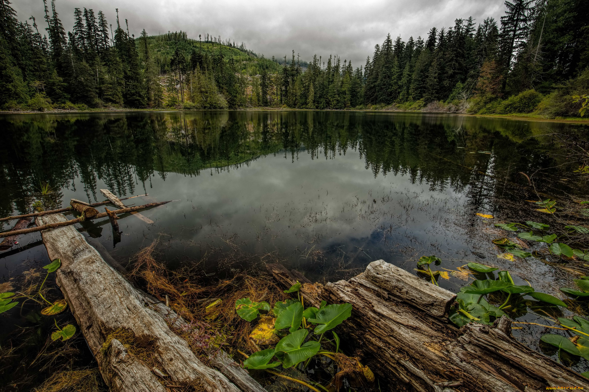 природа, реки, озера, простор