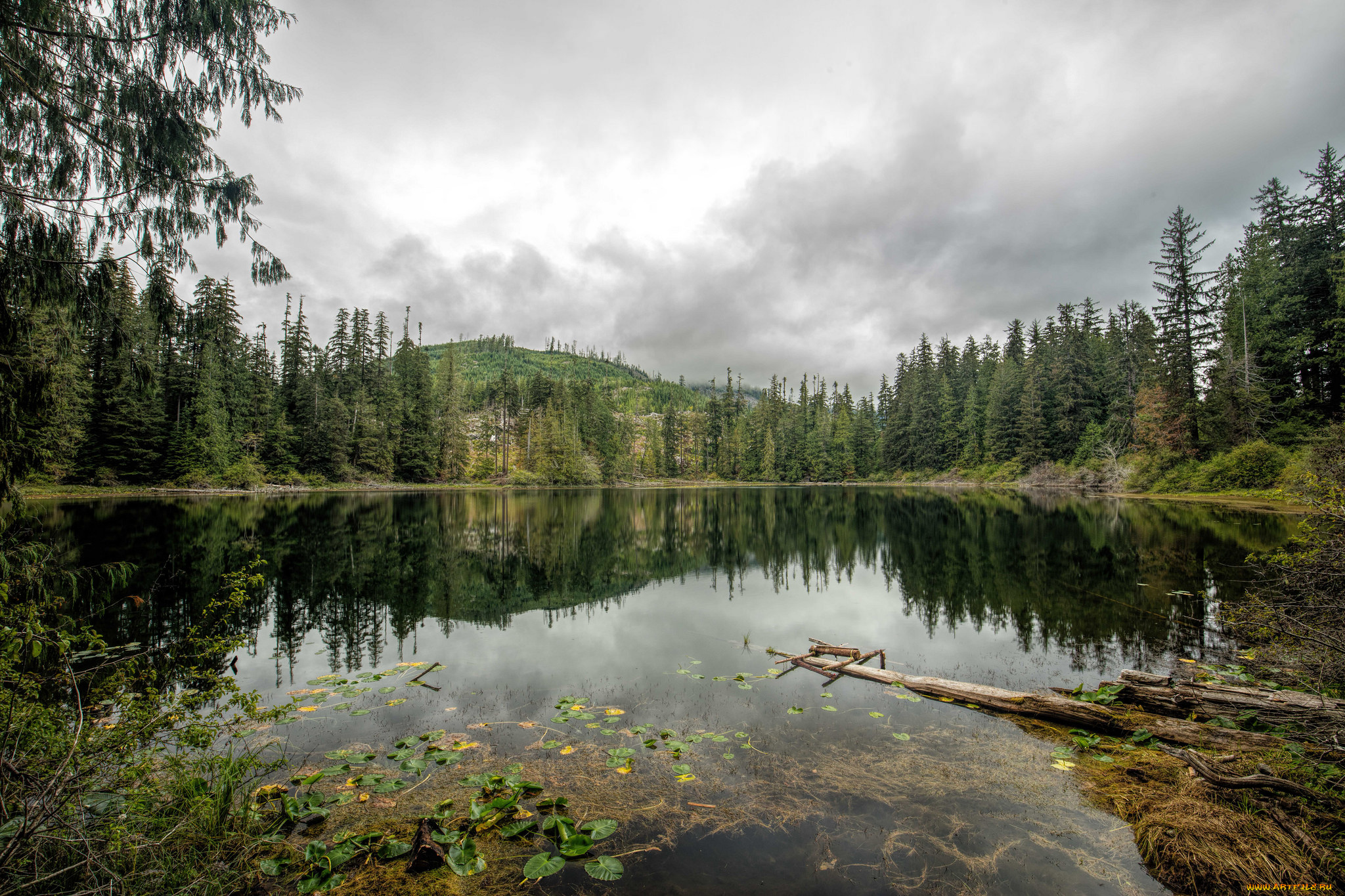 природа, реки, озера, простор