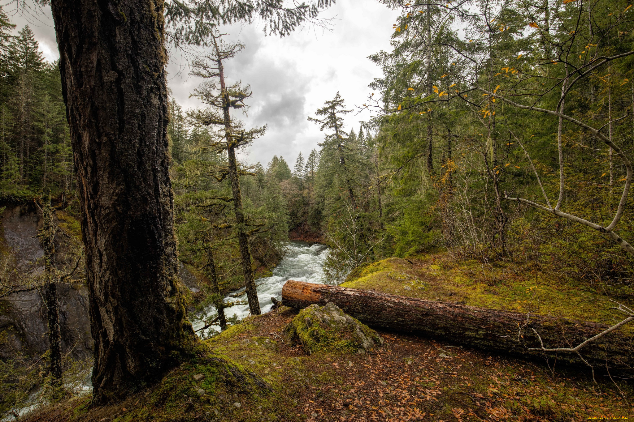 природа, реки, озера, простор