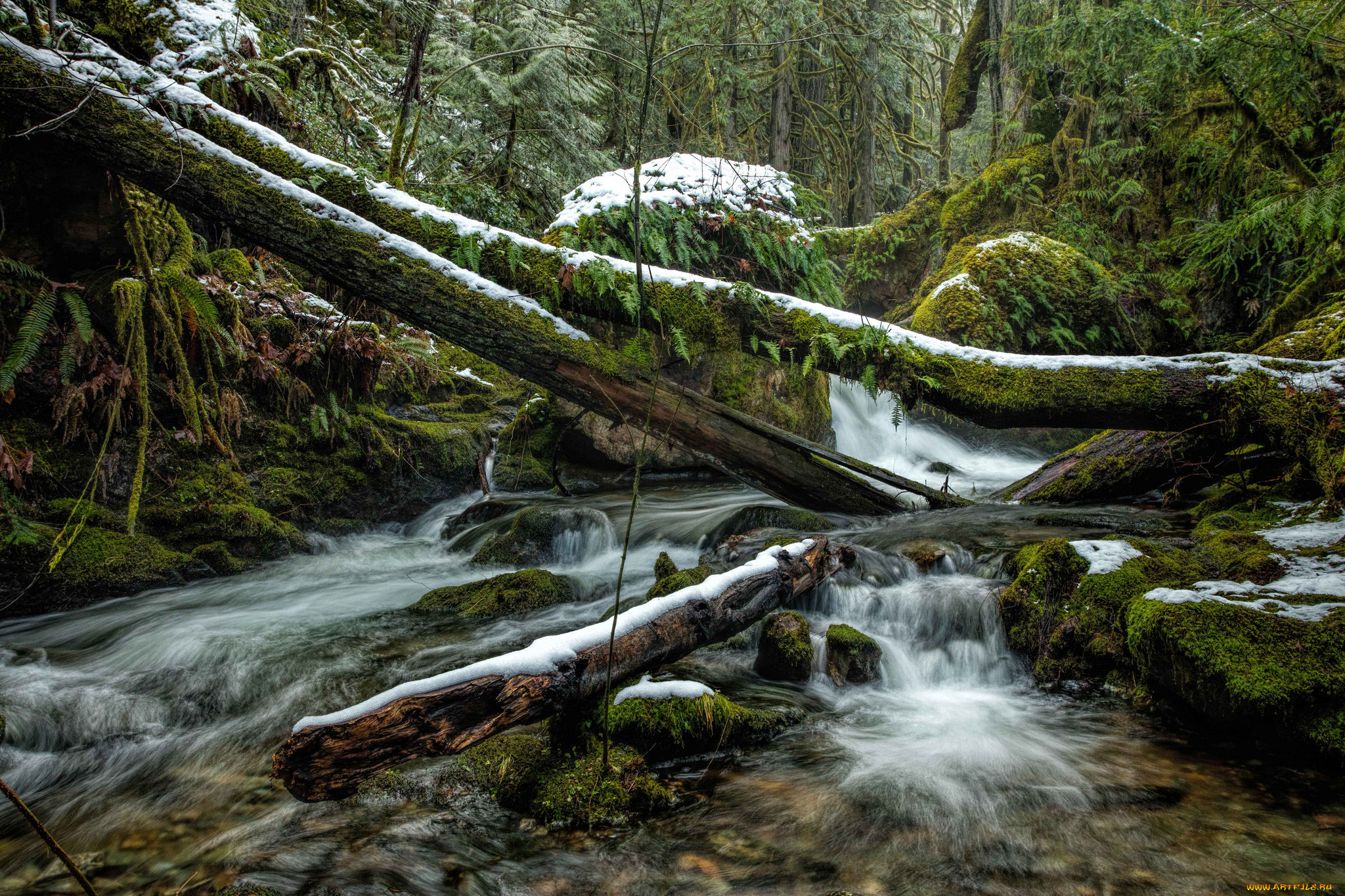 природа, реки, озера, простор
