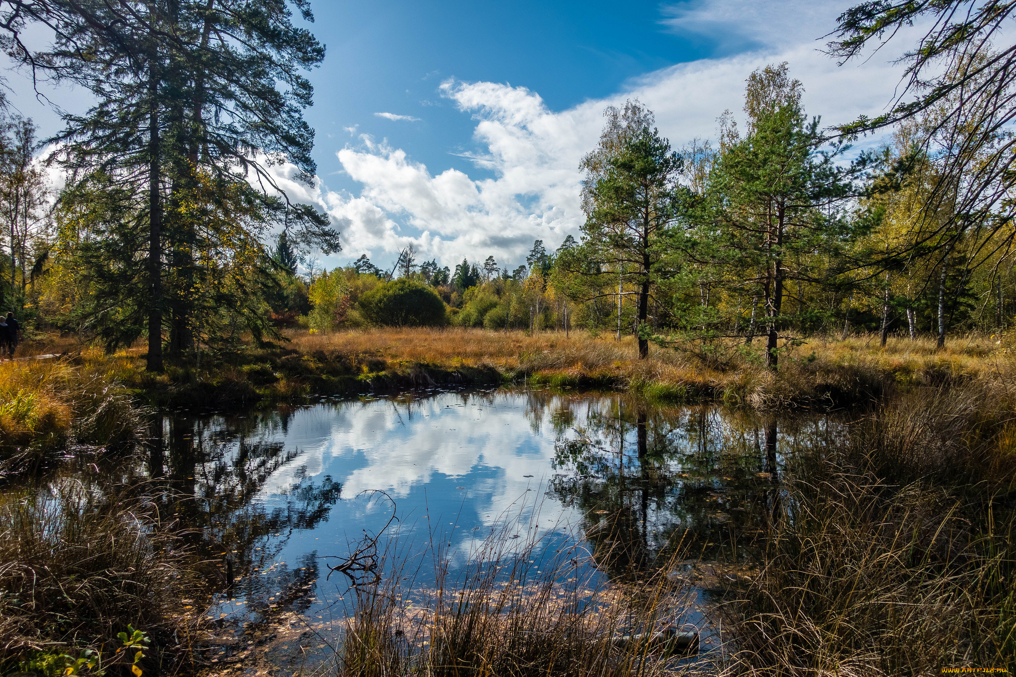 природа, реки, озера, простор