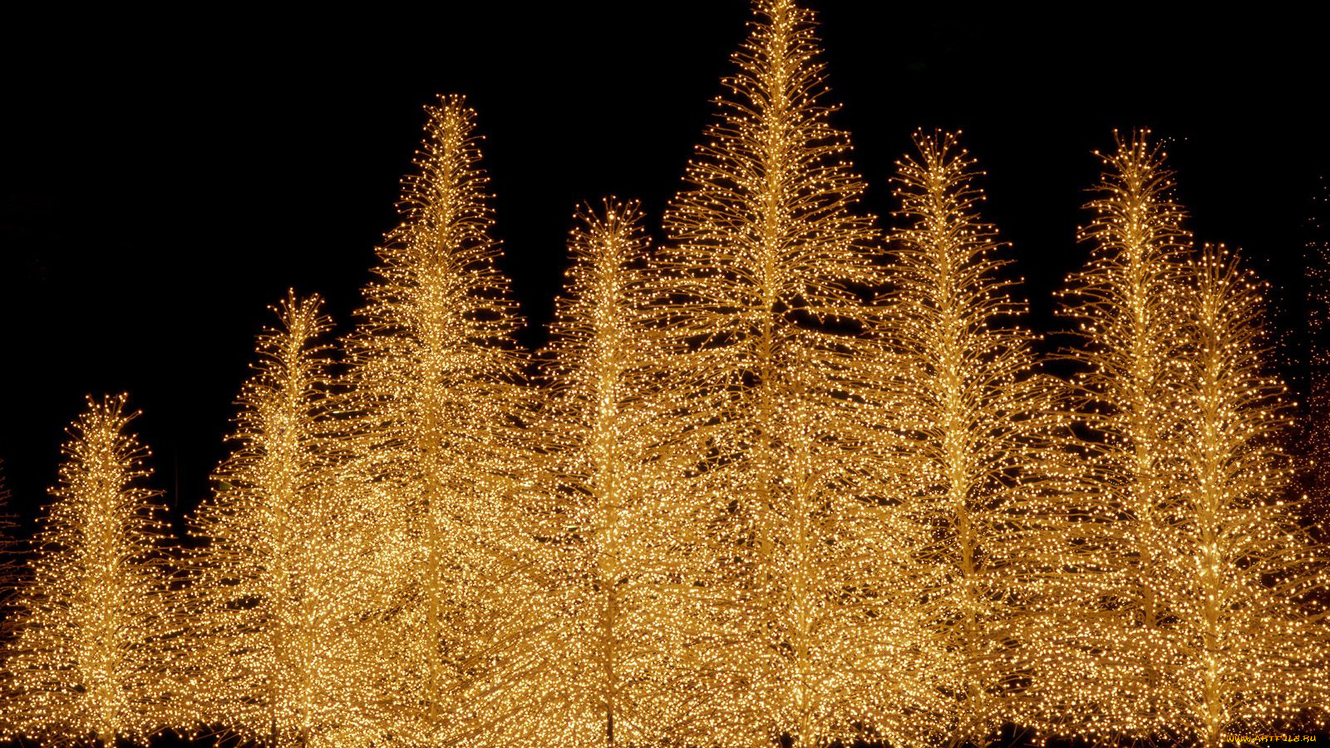 праздничные, Ёлки, christmas