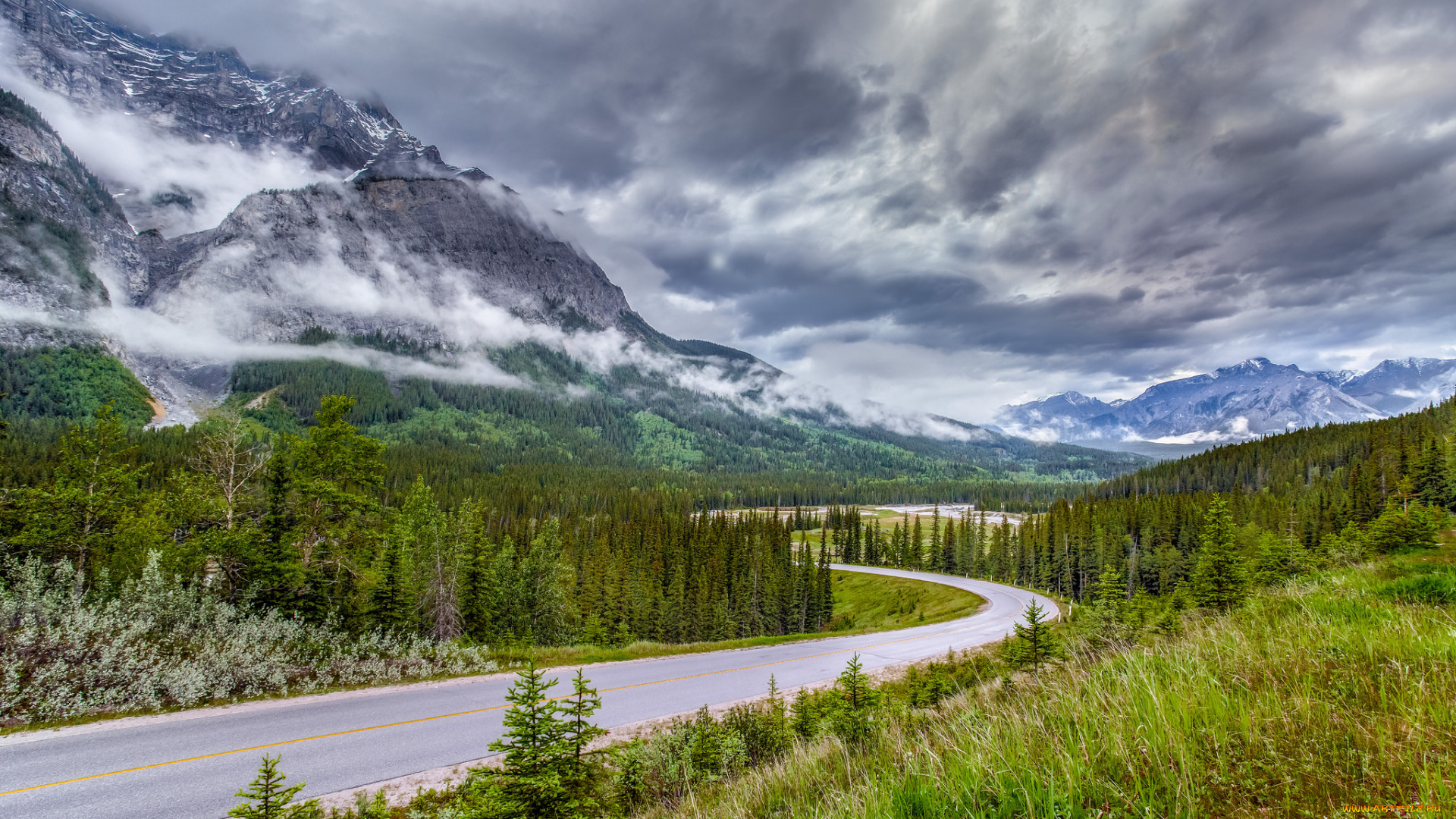 природа, дороги, простор