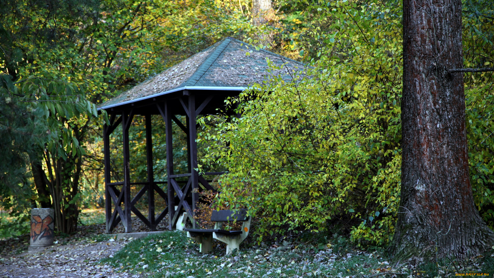 природа, парк, беседка