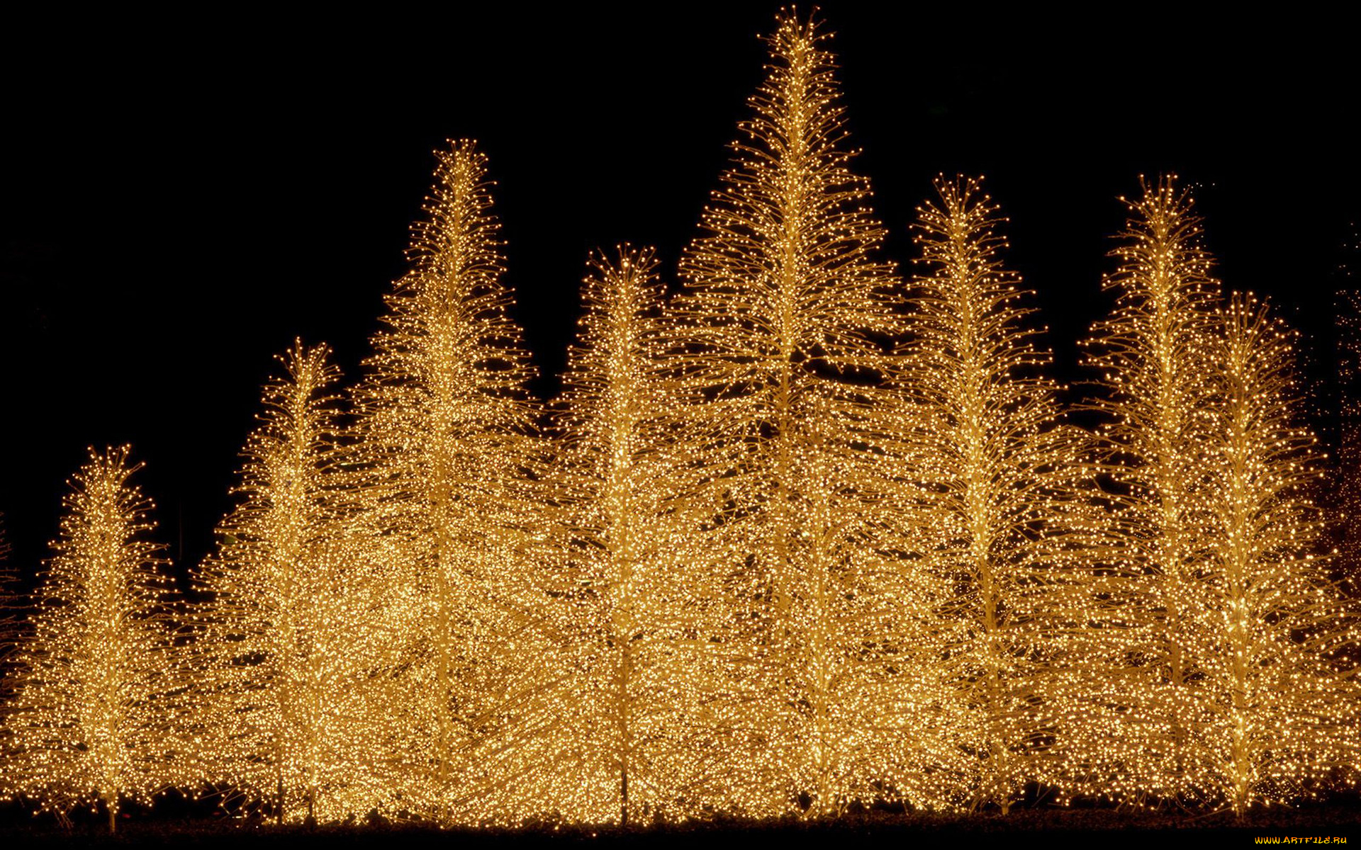 праздничные, Ёлки, christmas