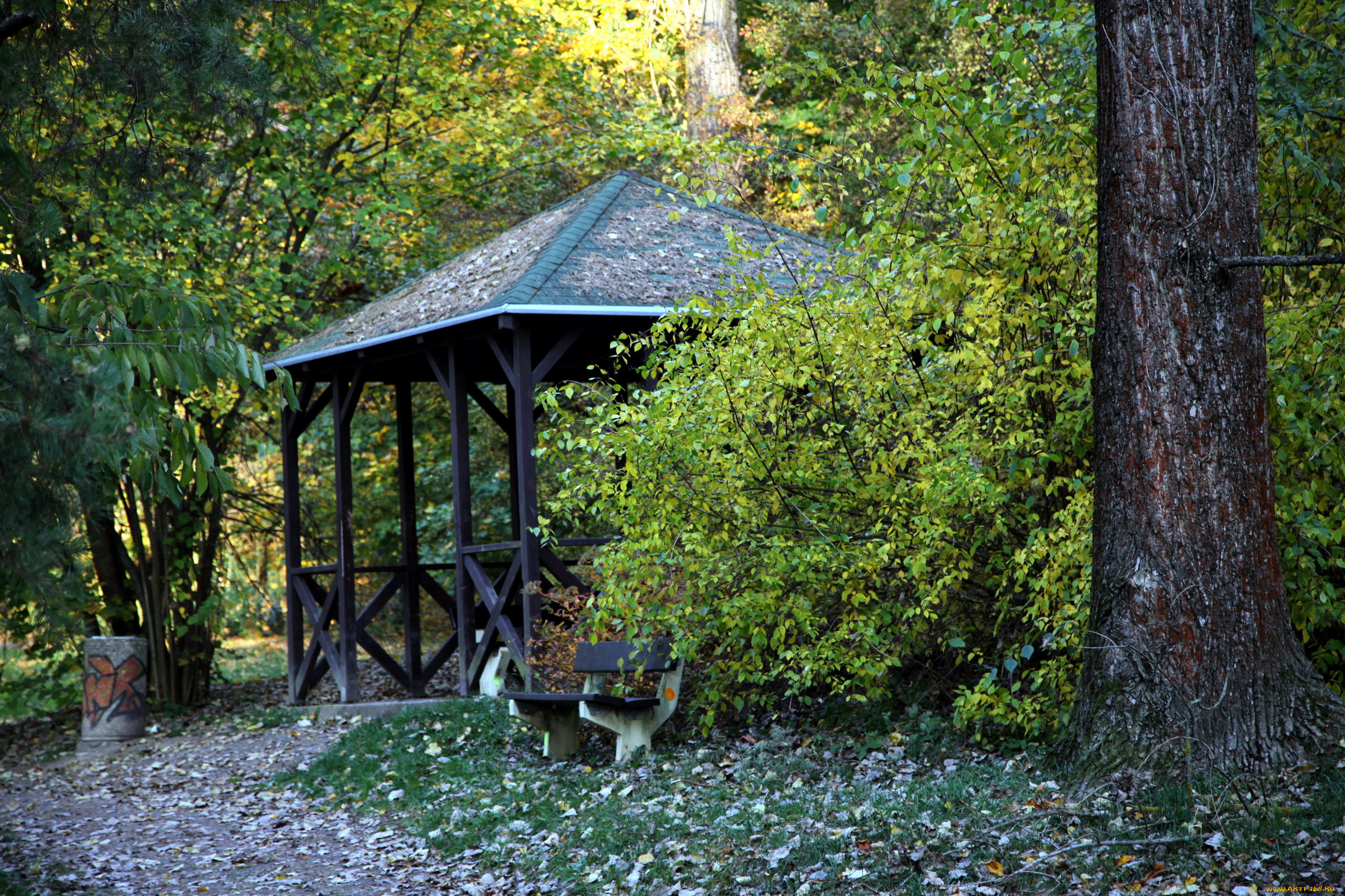 природа, парк, беседка