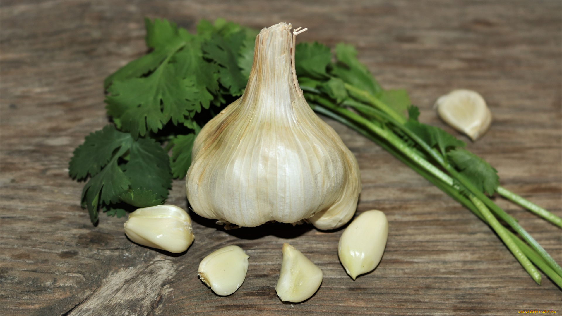 еда, чеснок, петрушка, зубчики