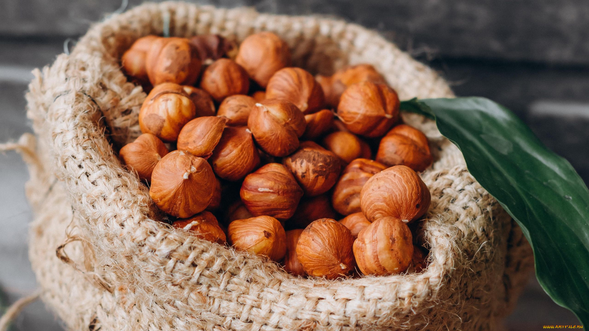 еда, орехи, , каштаны, , какао-бобы, фундук, ядра