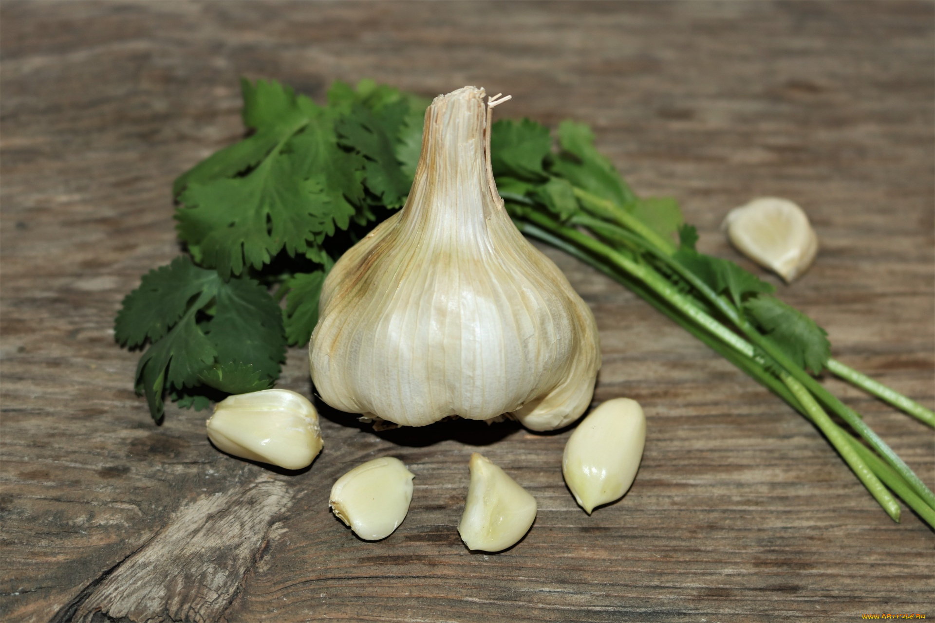 еда, чеснок, петрушка, зубчики