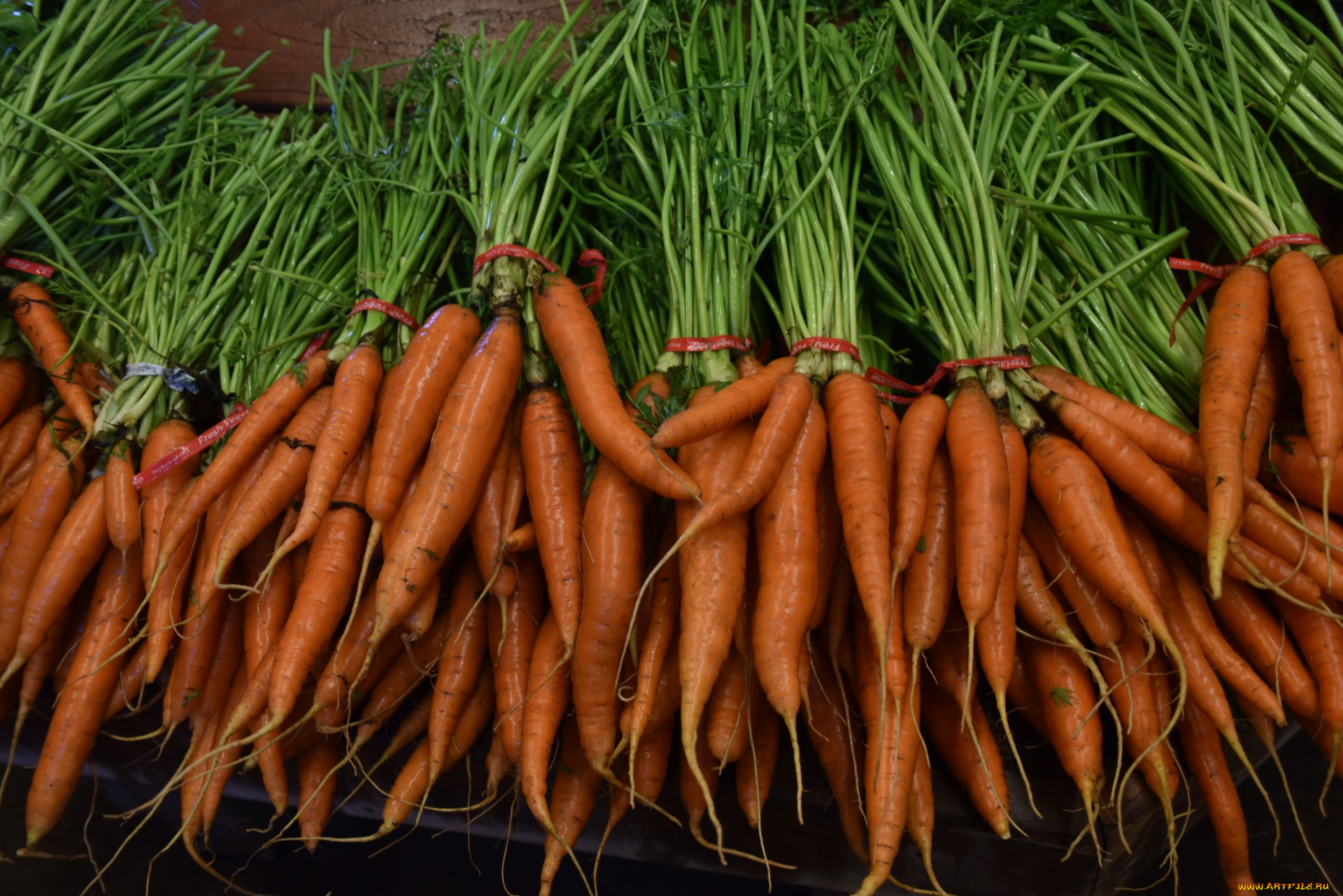 еда, морковь, молодая, пучки