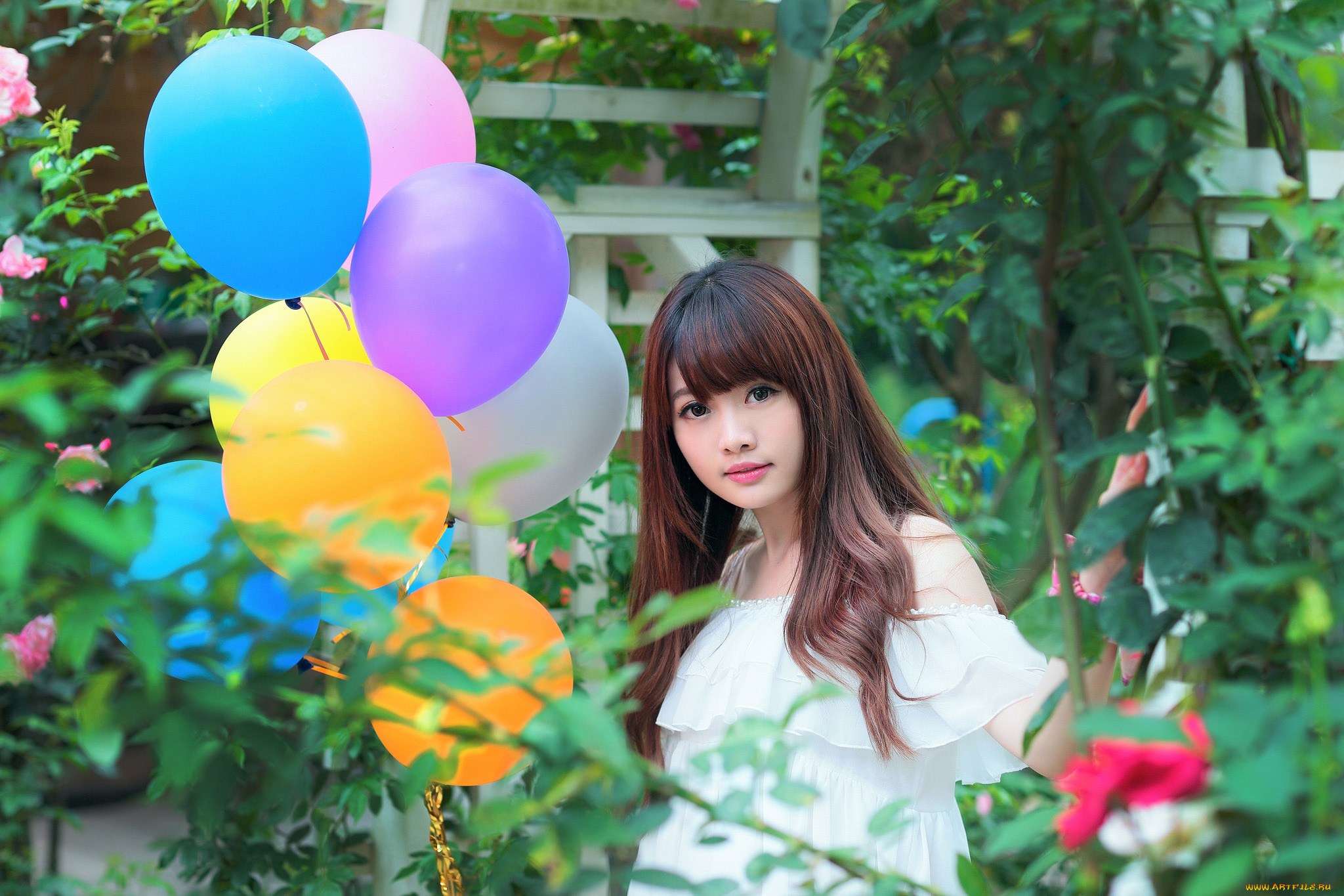 девушки, -, азиатки, воздушные, шарики
