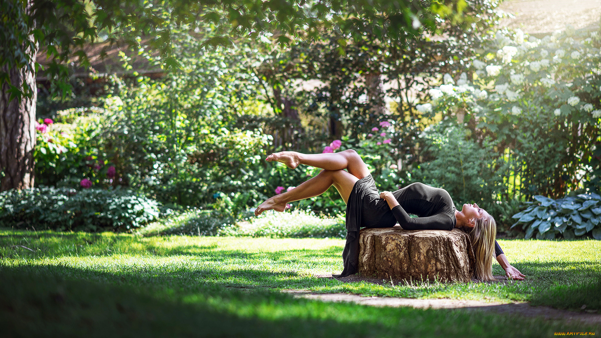 девушки, -, блондинки, , светловолосые, блондинка, платье, пень, поляна, кусты, деревья