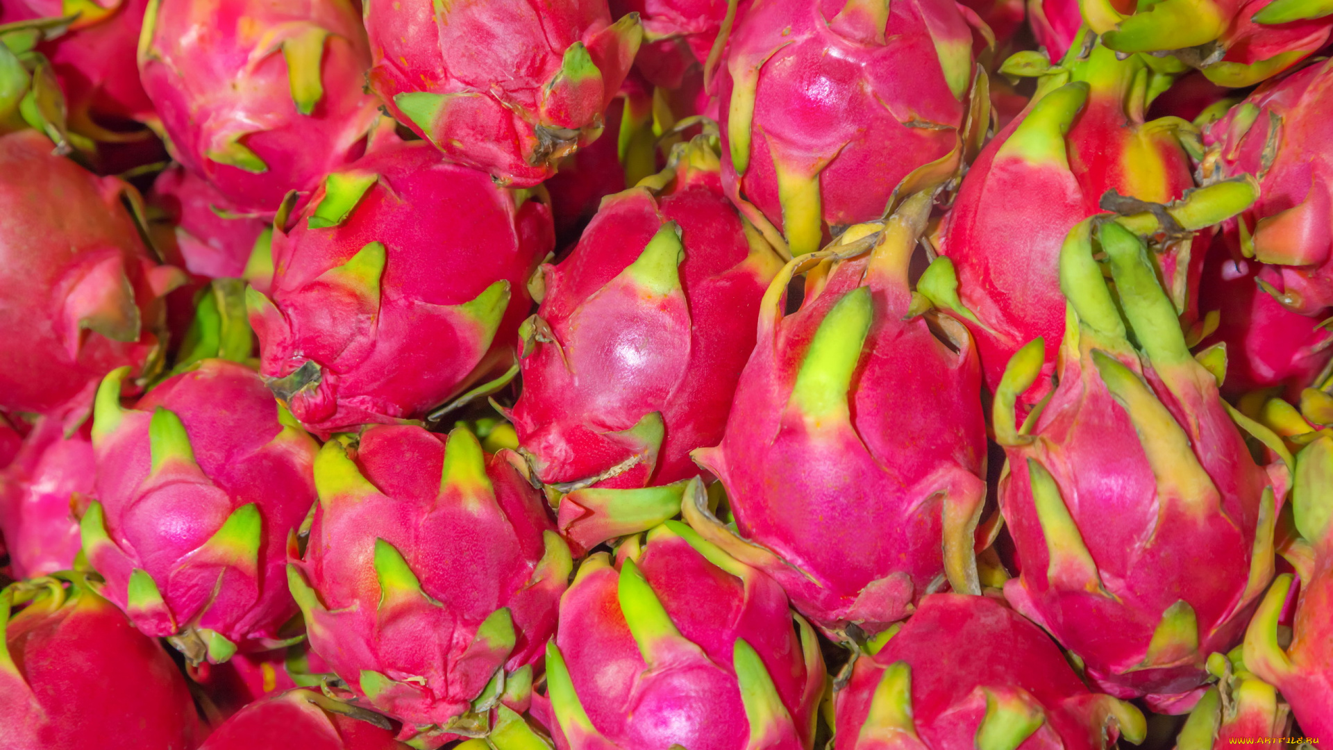 еда, питахайя, экзотический, фрукт