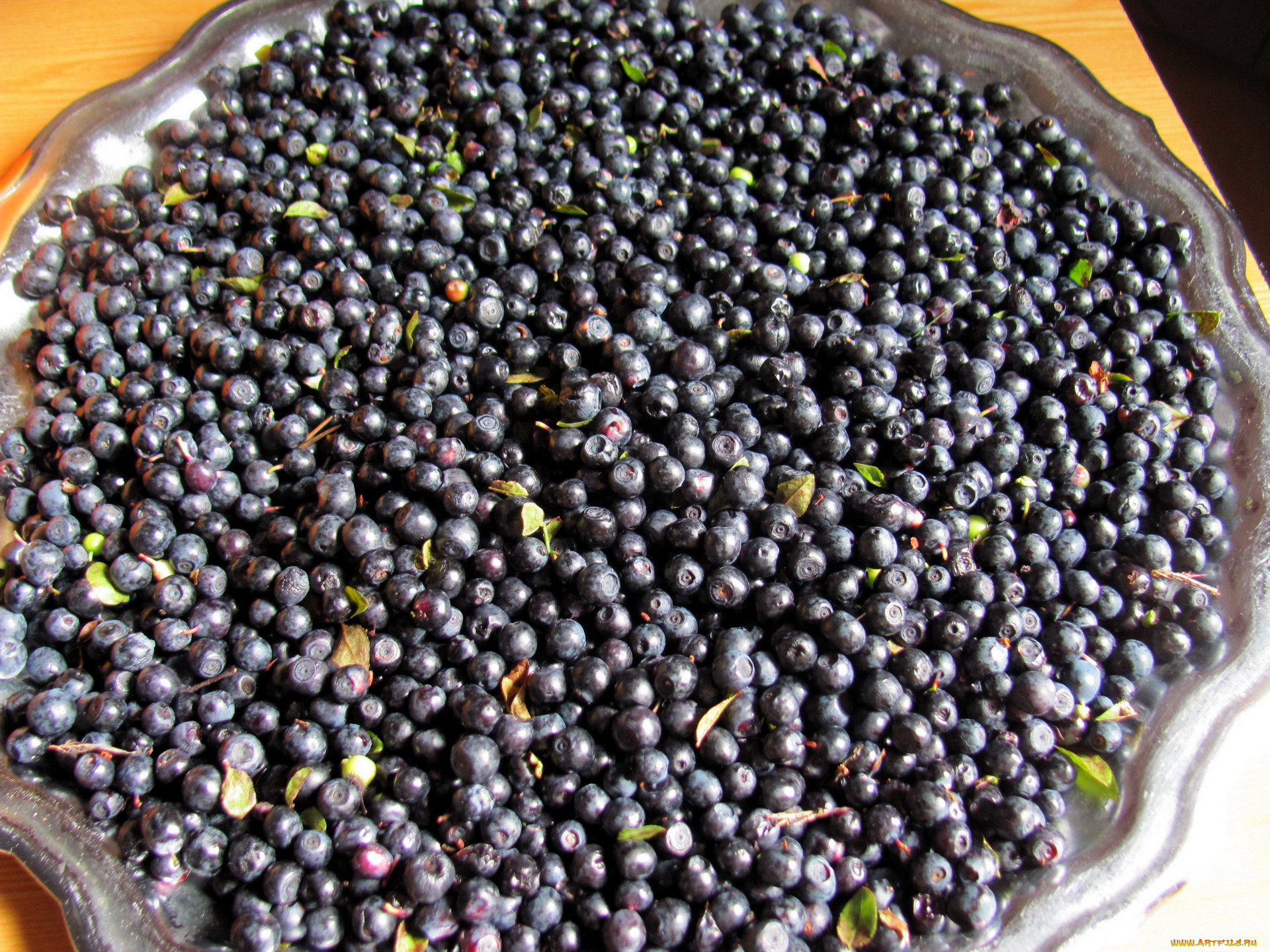 еда, голубика, , черника, лесная, черника, много