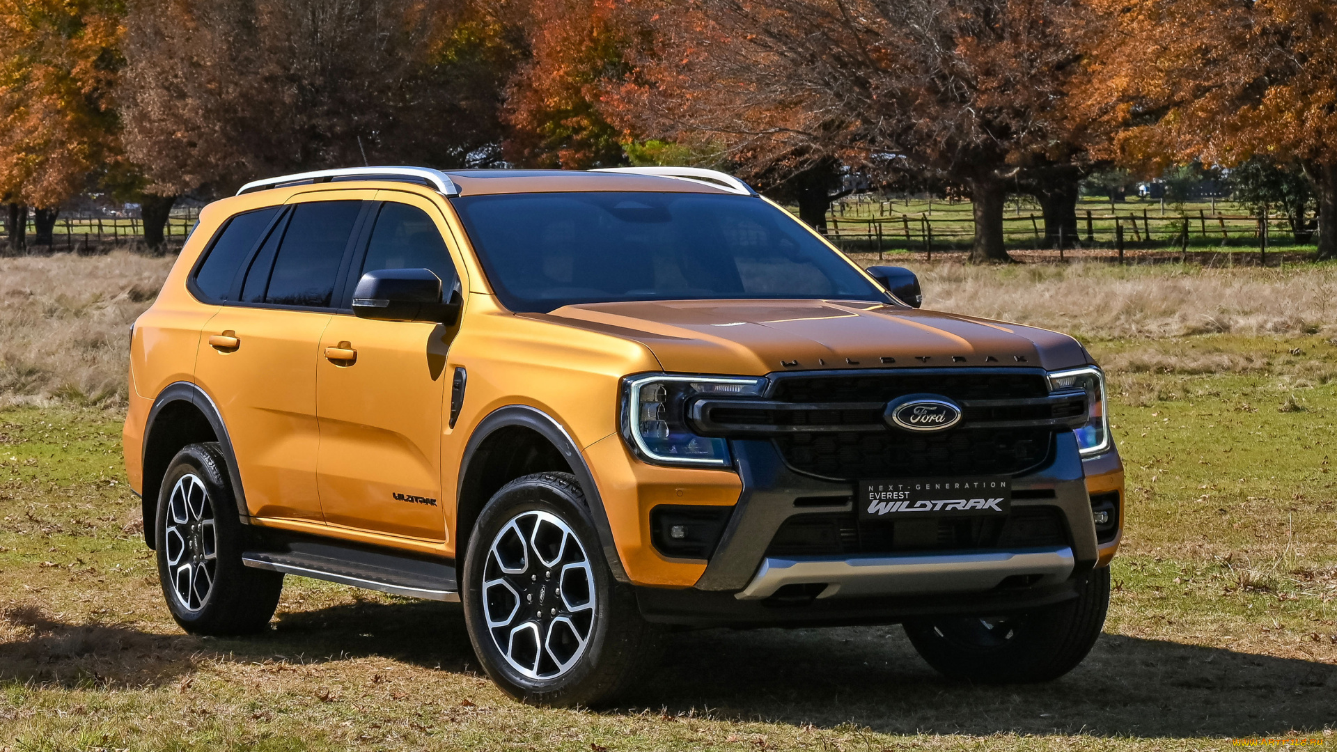 автомобили, ford