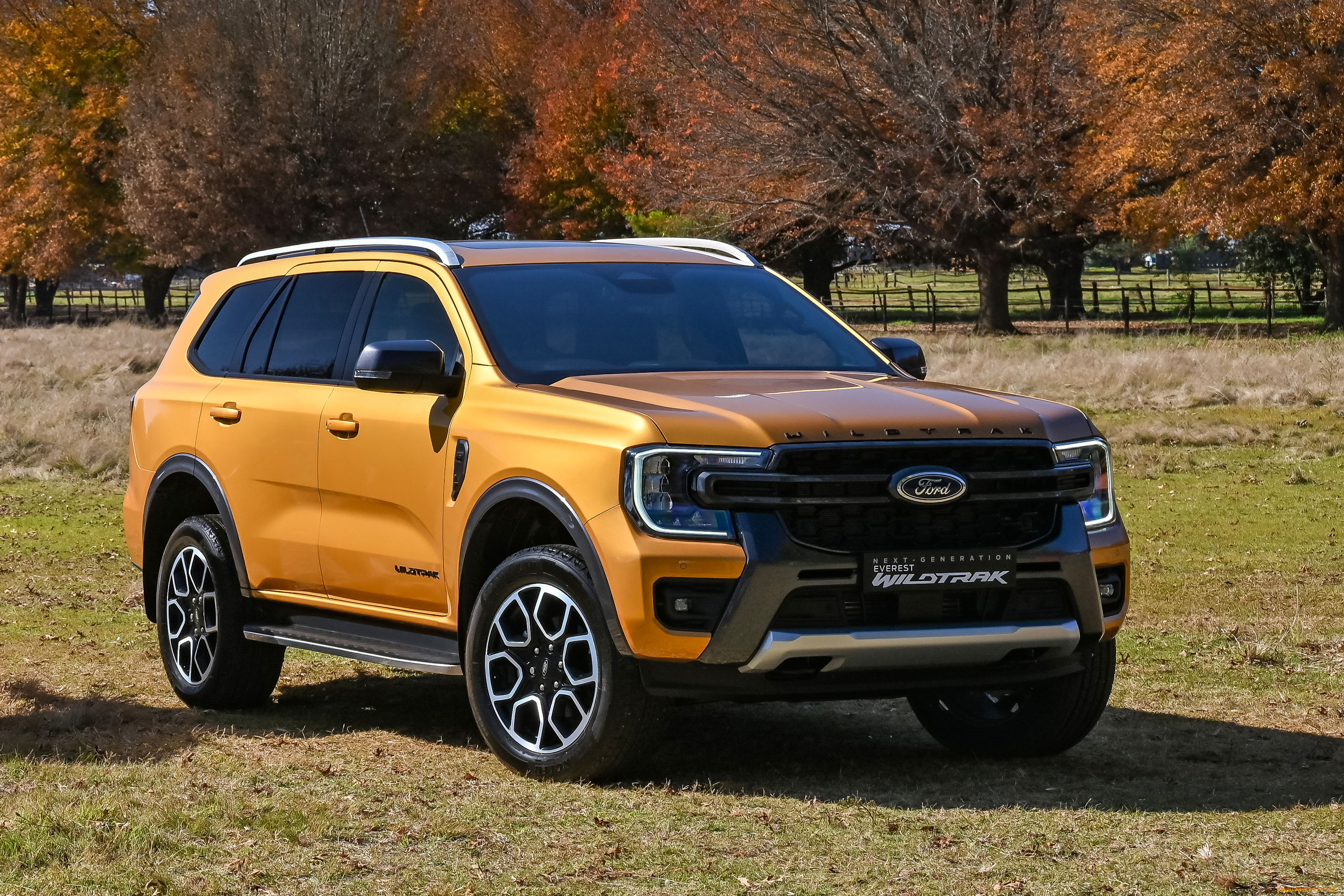 автомобили, ford