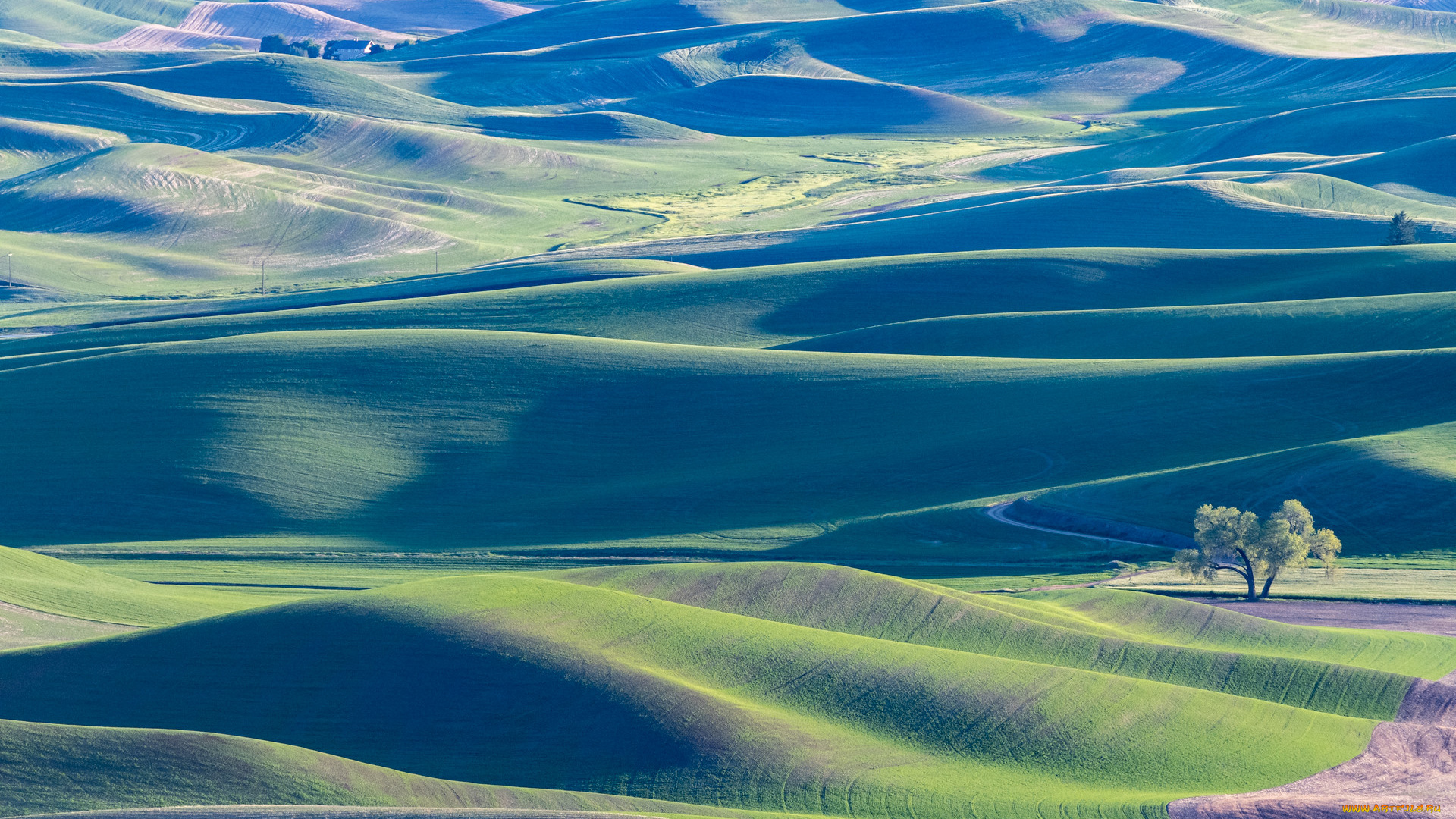 природа, пейзажи, пейзаж