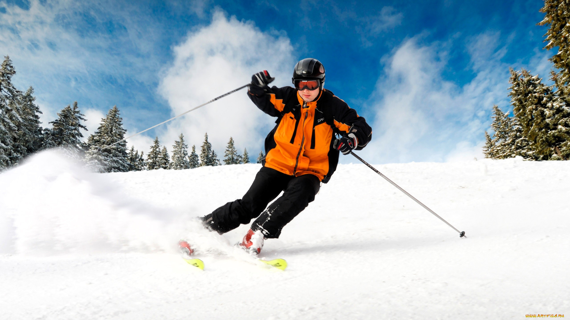 спорт, лыжный, спорт, лыжник, снег, очки, шлем, куртка, палки, лыжи, зима, склон, ёлки