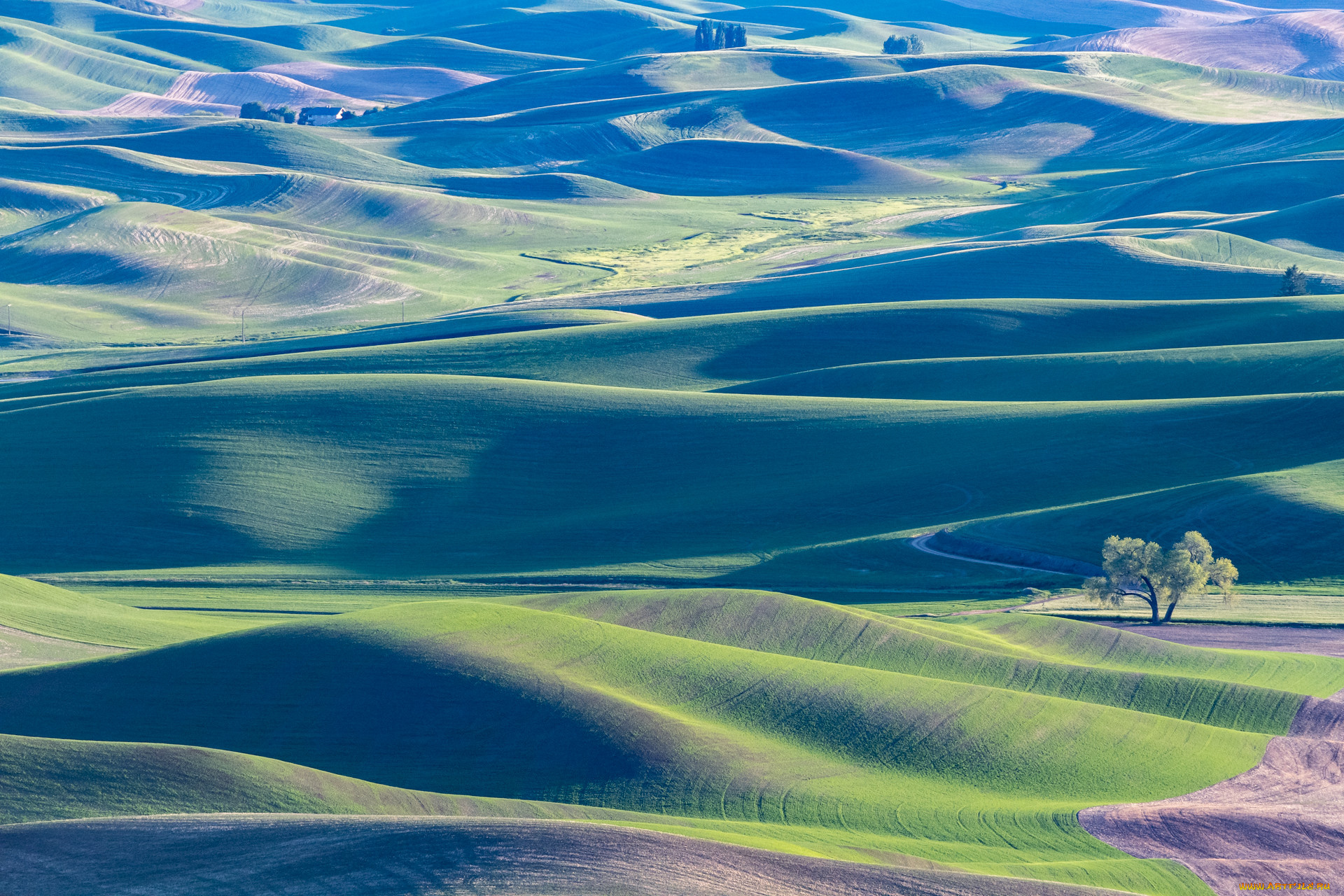 природа, пейзажи, пейзаж