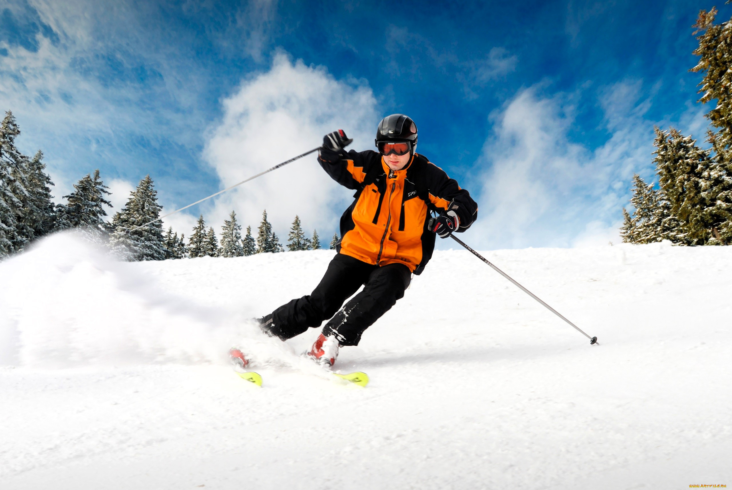 спорт, лыжный, спорт, лыжник, снег, очки, шлем, куртка, палки, лыжи, зима, склон, ёлки