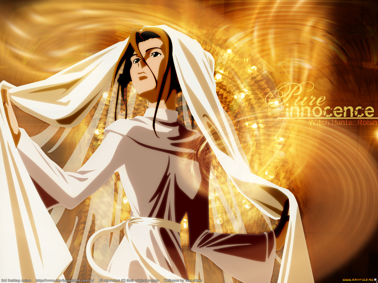 аниме, witch, hunter, robin