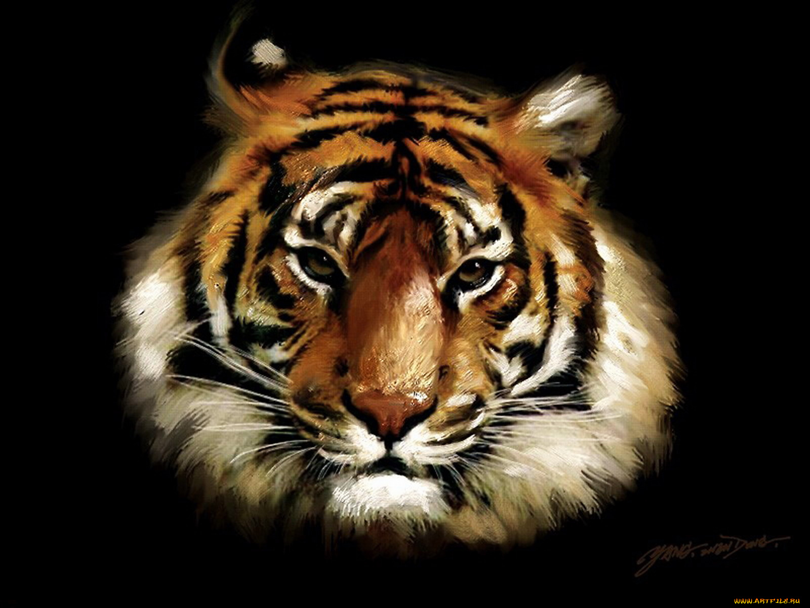 рисованные, животные, тигры