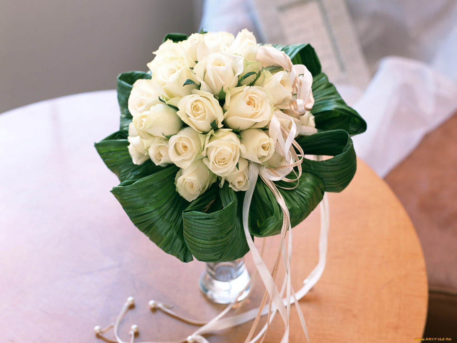 цветы, розы